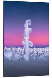 Aluminium print Snow-covered tree in Lapland