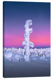 Obraz na płótnie Snow-covered tree in Lapland