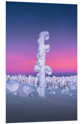 Hartschaumbild Eingeschneiter Baum in Lappland
