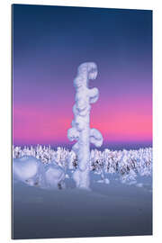 Gallery Print Eingeschneiter Baum in Lappland