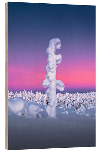 Cuadro de madera Snow-covered tree in Lapland