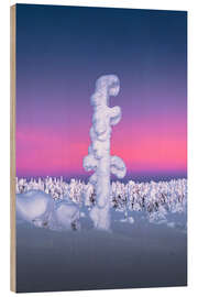 Trätavla Snow-covered tree in Lapland