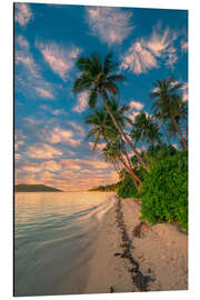 Aluminium print Palm trees at the beach, Fiji