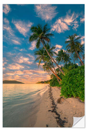 Selvklebende plakat Palm trees at the beach, Fiji