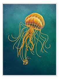 Póster  El globo de medusa - Stephanie Wittenburg