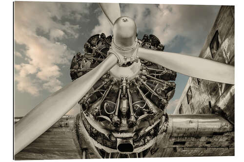 Gallery print Vintage airplane propeller engine, detail