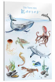 Quadro em plexi-alumínio Animals of the Sea (German)