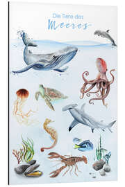 Magnettafel Tiere des Meeres