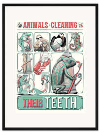 Gerahmter Kunstdruck Animals Cleaning Their Teeth