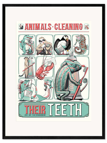 Framed art print Animals Cleaning Their Teeth