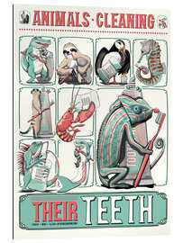 Gallery print Animals Cleaning Their Teeth