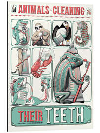 Magnettafel Animals Cleaning Their Teeth