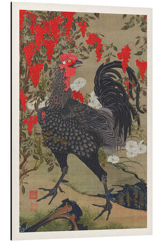 Aluminium print The Rooster