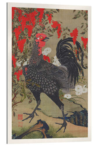 Gallery print The Rooster