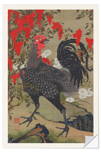 Autocolante decorativo The Rooster