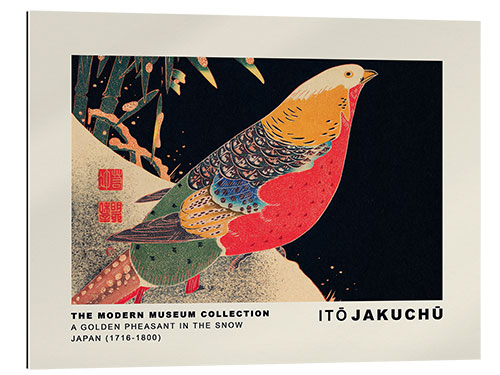 Stampa su plexi-alluminio A Golden Pheasant in the Snow, Ito Jakuchu