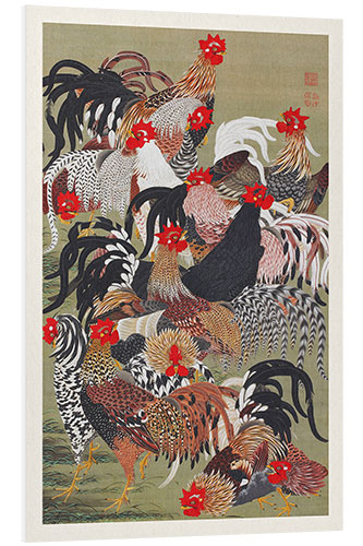 Foam board print Flock of Roosters (Group of Chickens)