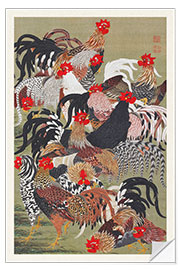 Selvklebende plakat Flock of Roosters (Group of Chickens)