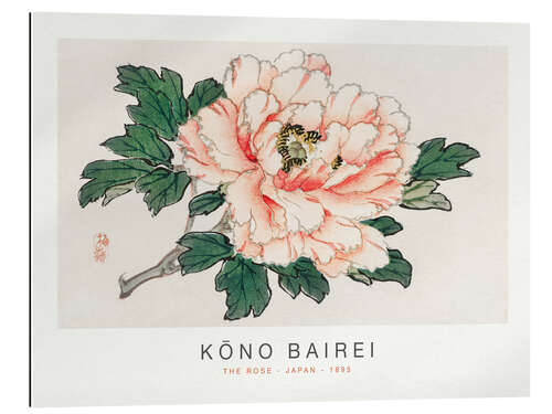 Gallery print The Rose, Kono Bairei, 1895