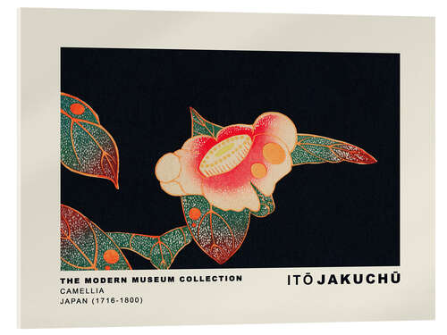 Acrylic print Camellia, Ito Jakuchu