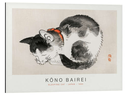 Stampa su alluminio Sleeping Cat, Kono Bairei, 1895