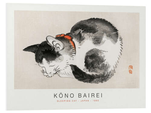 Print på skumplade Sleeping Cat, Kono Bairei, 1895