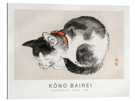 Galleritryk Sleeping Cat, Kono Bairei, 1895