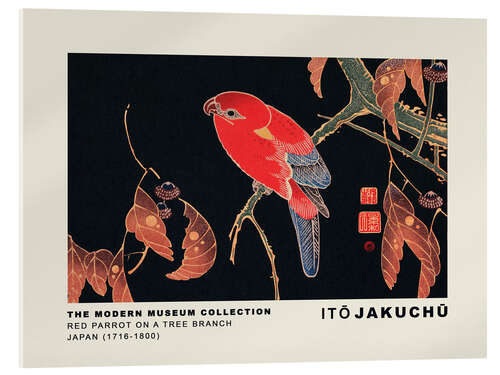 Acrylic print Red Parrot on a Tree Branch, Ito Jakuchu