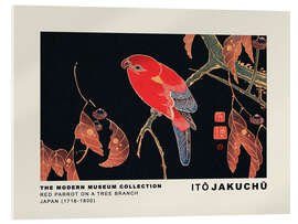 Acrylglasbild Red Parrot on a Tree Branch, Ito Jakuchu