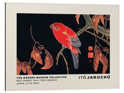 Aluminium print Red Parrot on a Tree Branch, Ito Jakuchu