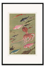 Gerahmter Kunstdruck Fisch aus dem bunten Reich der Lebewesen