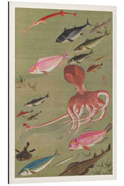 Magnettafel Fisch aus dem bunten Reich der Lebewesen