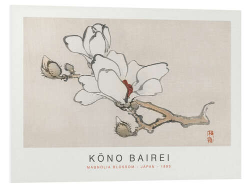 Foam board print Magnolia Blossom, Kono Bairei, 1895