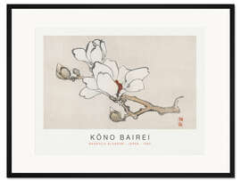 Gerahmter Kunstdruck Magnolia Blossom, Kono Bairei, 1895