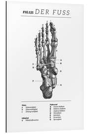 Tableau en aluminium Vintage foot chart (German)