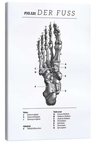 Stampa su tela Vintage foot chart (German)