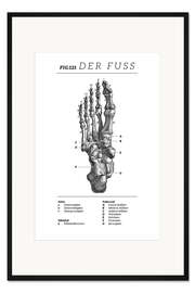 Gerahmter Kunstdruck Der Fuß, Diagramm (Vintage)
