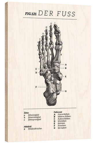 Wood print Vintage foot chart (German)