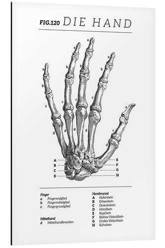 Cuadro de aluminio Vintage hand chart (German)