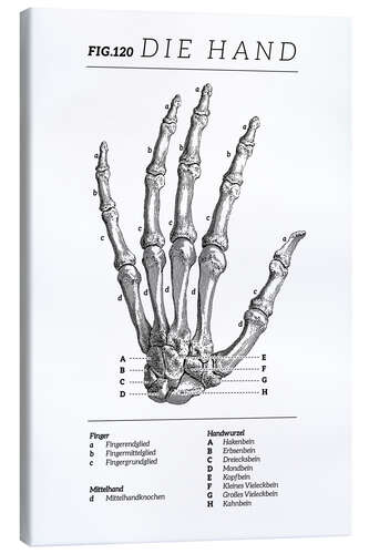 Lienzo Vintage hand chart (German)