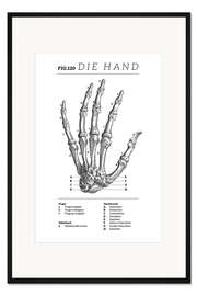 Gerahmter Kunstdruck Die Hand, Diagramm (Vintage)
