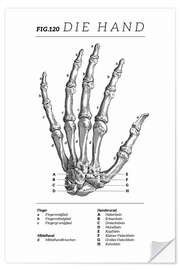 Wandsticker Die Hand, Diagramm (Vintage)