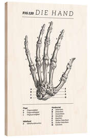 Wood print Vintage hand chart (German)