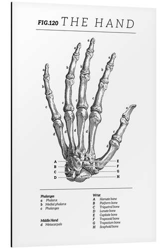 Quadro em alumínio Vintage hand chart