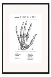 Gerahmter Kunstdruck Die Hand, Diagramm (Vintage, Englisch)