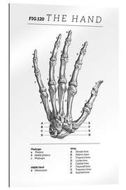 Gallery Print Die Hand, Diagramm (Vintage, Englisch)