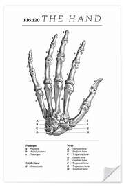 Wandsticker Die Hand, Diagramm (Vintage, Englisch)