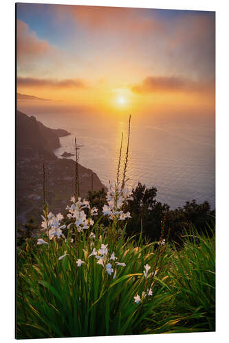 Aluminium print Sunset in Paradise, Madeira