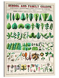 Gallery print Vintage Foliage