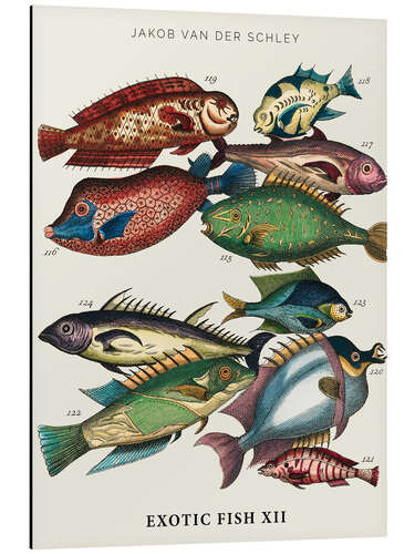 Stampa su alluminio Vintage exotic fish